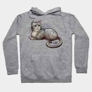 Cat - American Shorthair - Gray Tabby Hoodie